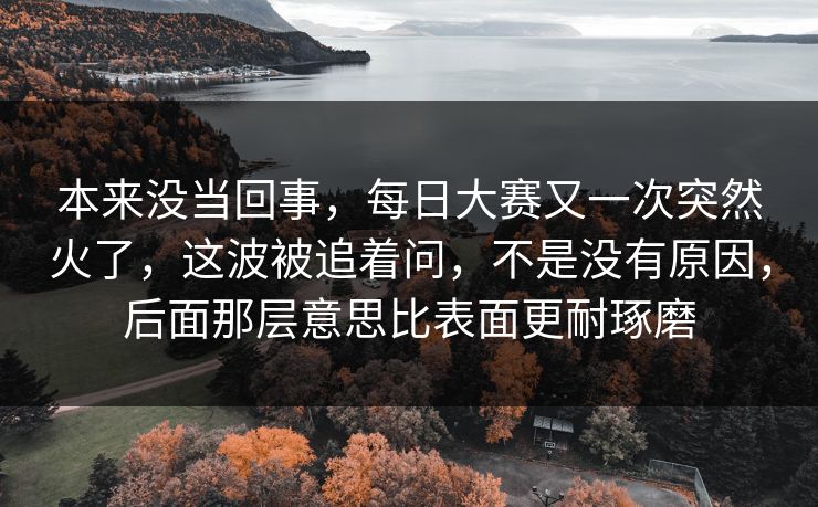 本来没当回事,每日大赛又一次突然火了,这波被追着问,不是没有原因,后面那层意思比表面更耐琢磨